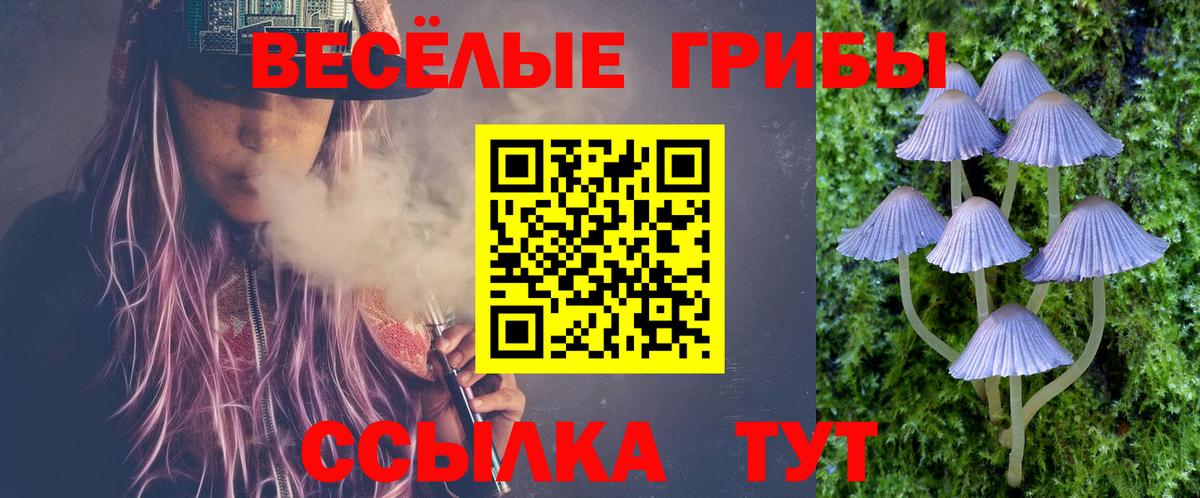 Галлюциногенные грибы Magic Shrooms  Псилоцибиновые грибы GOLDEN TEACHER  Вход с VPN  даркнет сайт  Ростов Великий 