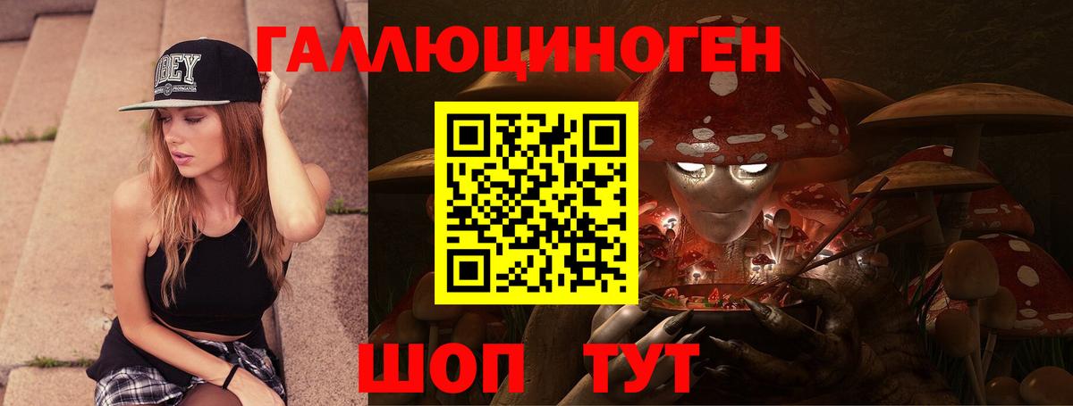 Псилоцибиновые грибы Psilocybine cubensis Ростов Великий